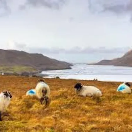 Clonbur House - Two Bedroom Village